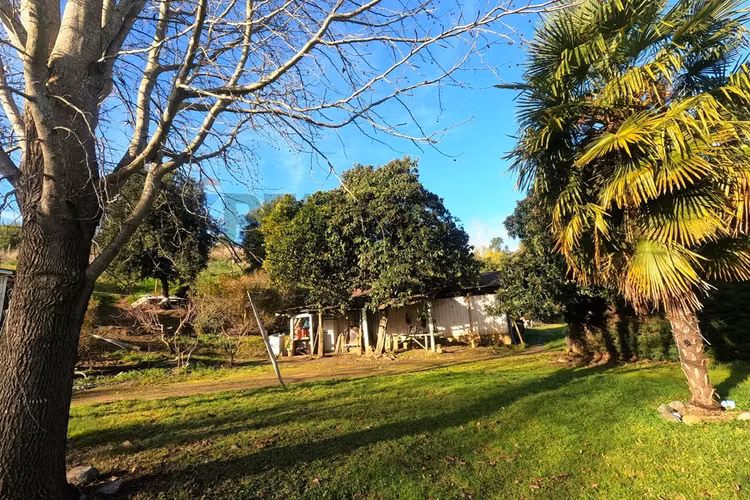 Terreno en quillón: naturaleza y desarrollo