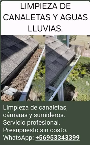 Limpieza de canaletas y Mantención aguas lluvias