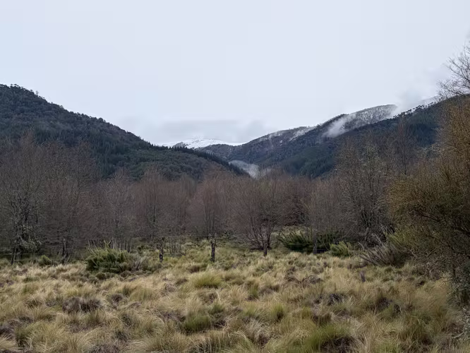 VENTA PARCELA EN LOTEO 5000 M2 MALALCAHUELLO