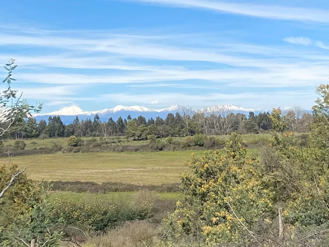 Parcela San Rafael | 5.000m² a Minutos de Ruta 5 y Talca