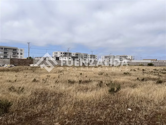 Terreno Construccion en arriendo en La Serena