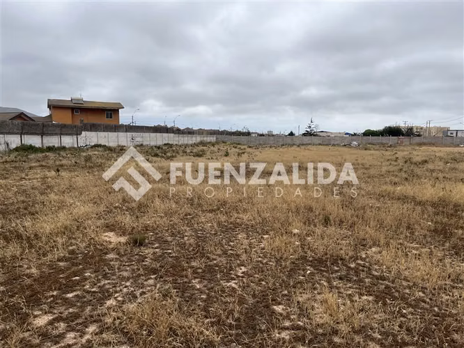 Sitio en arriendo en La Serena