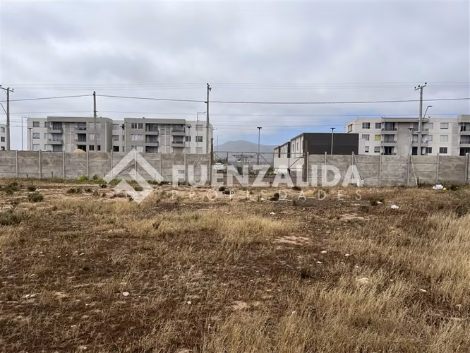 Sitio en arriendo en La Serena