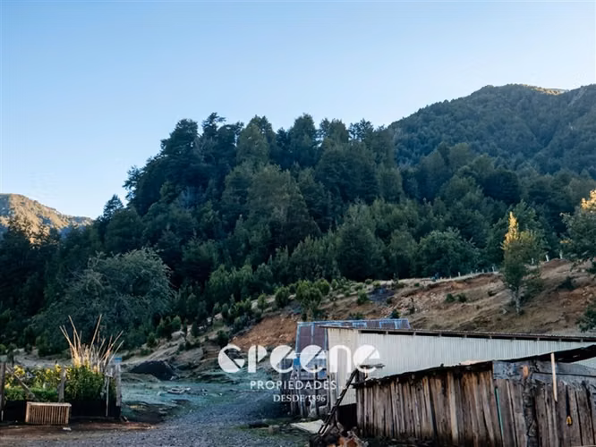 Agrícola en venta en Curacautín - Imagen 7