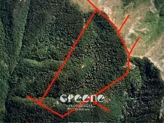 Agrícola en venta en Curacautín - Imagen 9
