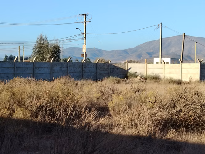 Terreno, Pan de Azúcar, Coquimbo - Imagen 15