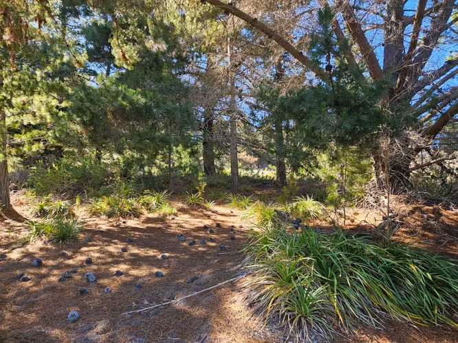 Punta Puertecillo, terreno con vista al mar de 5.600 m2. Exclusivo