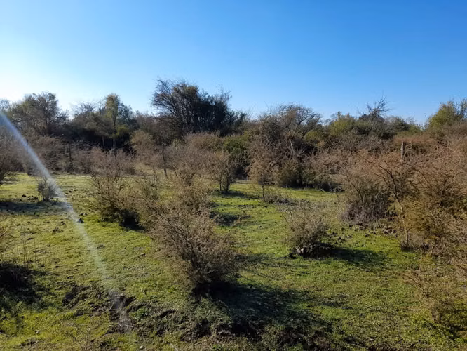 Venta de campo Bulnes