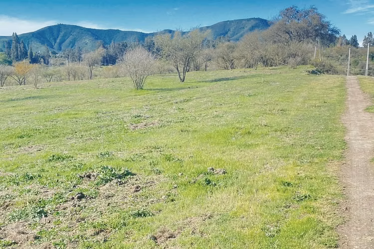 Parcelas Desde 5.000 M, Rol Propio, 12 Km de Melipilla Cam. Rapel