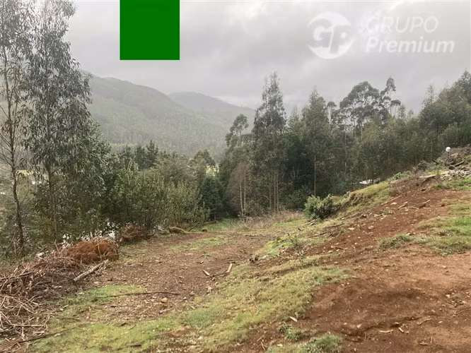 Parcela en venta en Toltén - Imagen 3