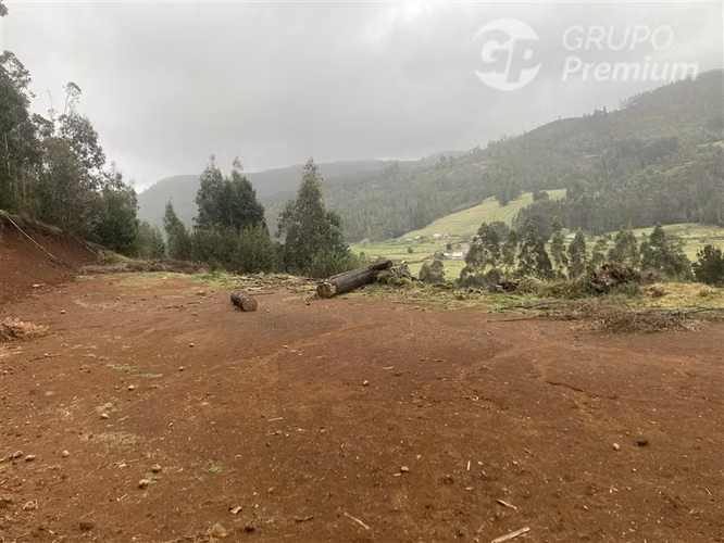 Parcela en venta en Toltén - Imagen 6