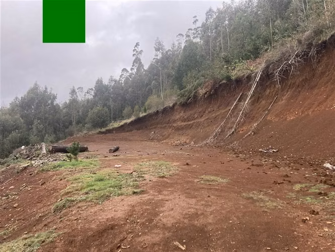 Parcela en venta en Toltén - Imagen 4