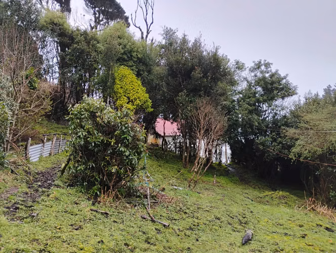 Se vende hermosa parcela en Puñihuil, Ancud