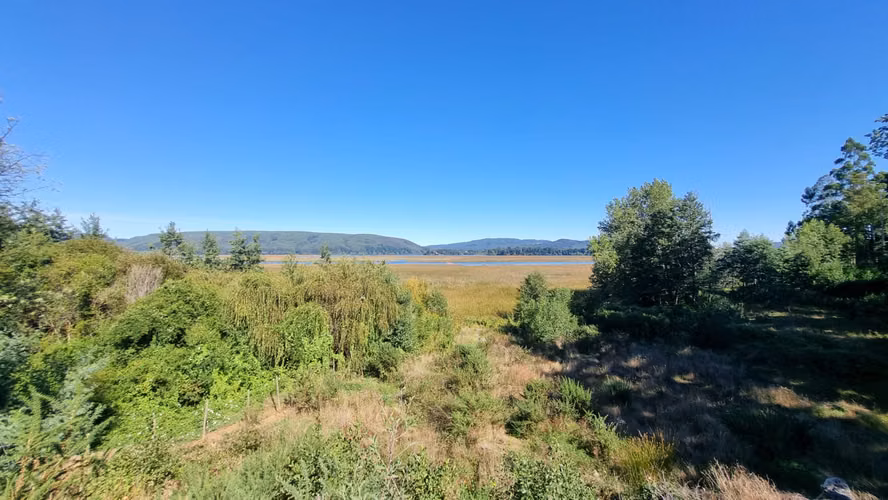 Exclusivo terreno en venta con 38 metros de orilla al río Valdivia - Imagen 2