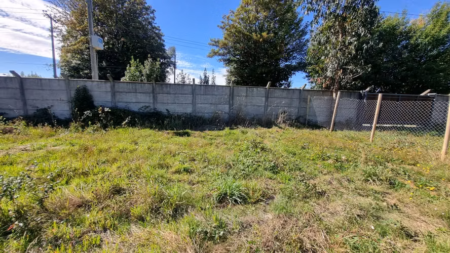 Exclusivo terreno en venta con 38 metros de orilla al río Valdivia - Imagen 8