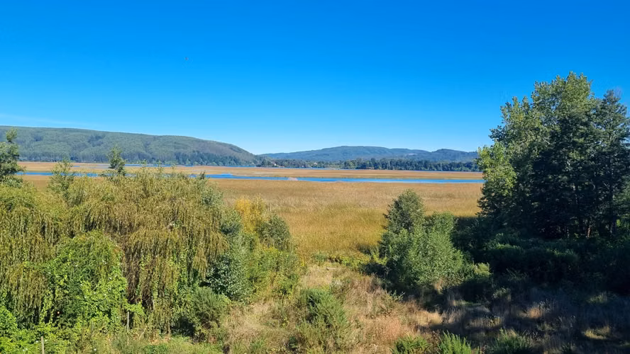 Exclusivo terreno en venta con 38 metros de orilla al río Valdivia