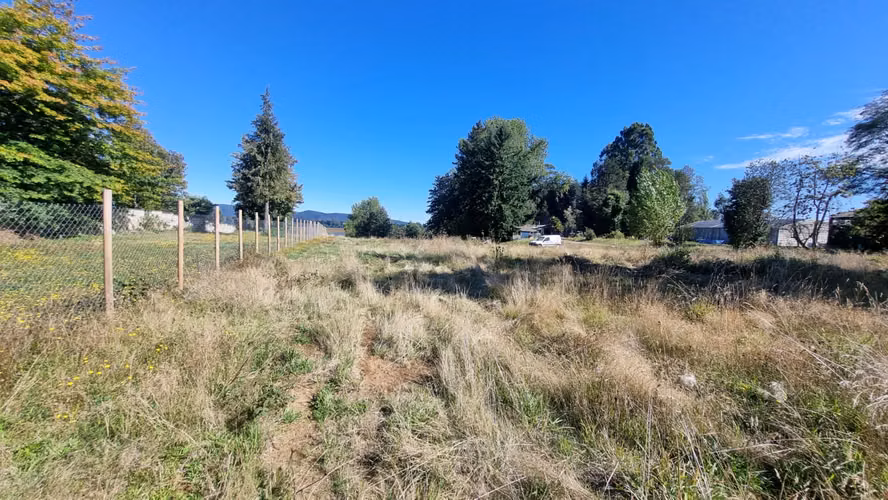 Exclusivo terreno en venta con 38 metros de orilla al río Valdivia - Imagen 6