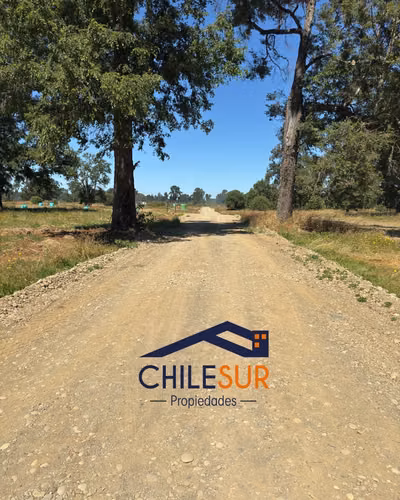Se venden parcelas en Osorno - Imagen 7