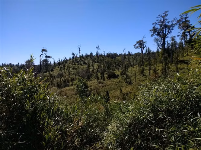 Terreno Campo en venta en Ancud - Imagen 13