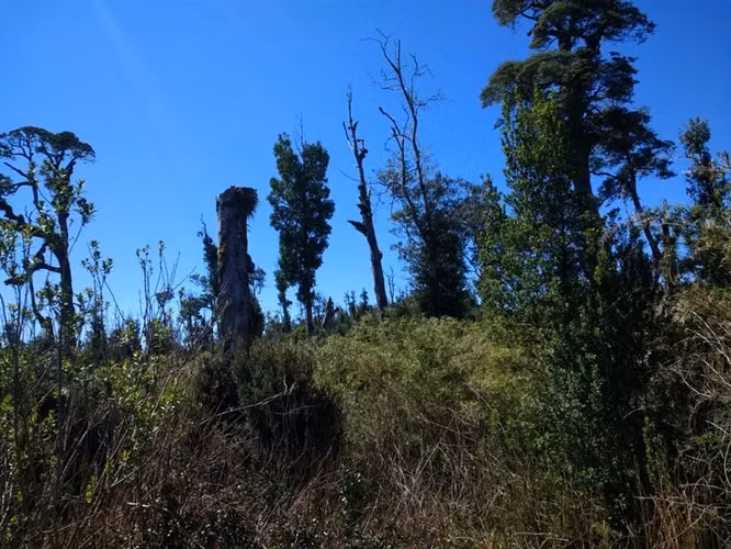 Terreno Campo en venta en Ancud - Imagen 19