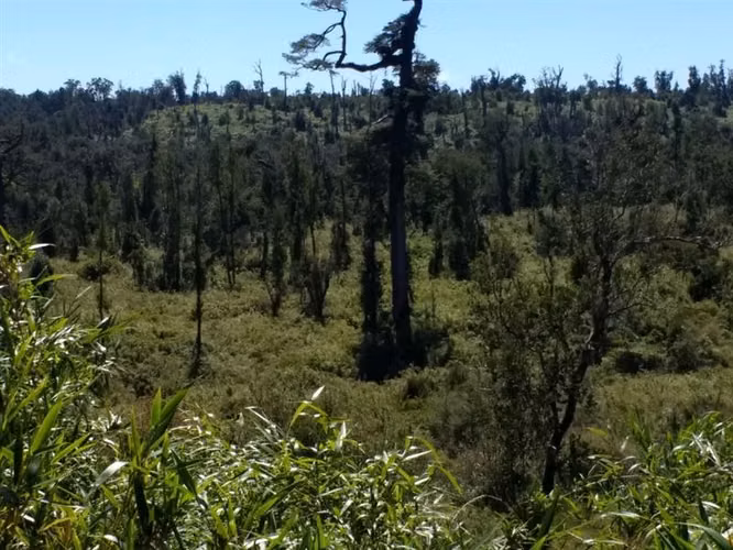 Terreno Campo en venta en Ancud - Imagen 7