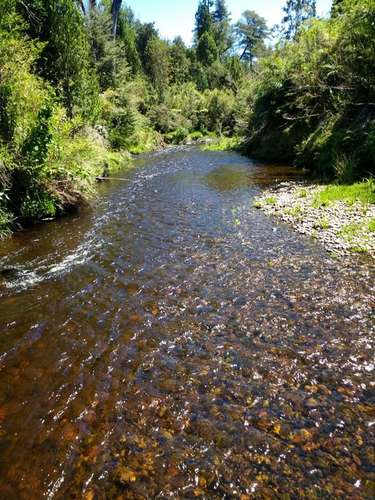 Terreno Campo en venta en Ancud 184 hectáreas en Ancud