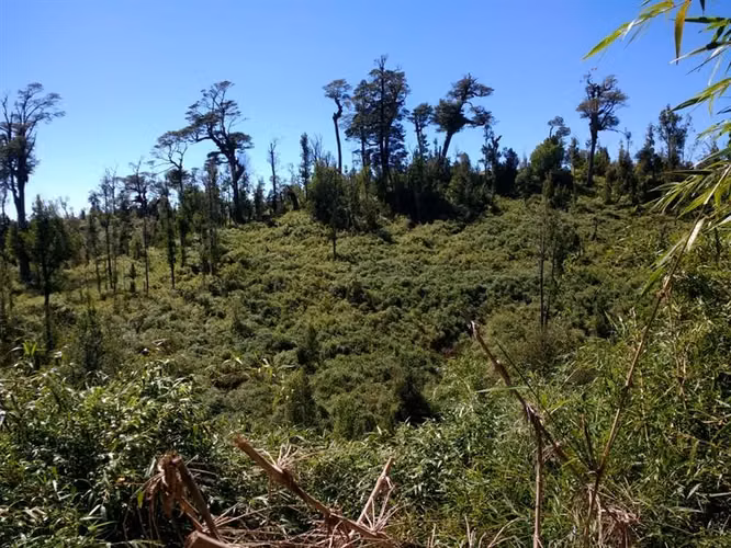 Terreno Campo en venta en Ancud - Imagen 27