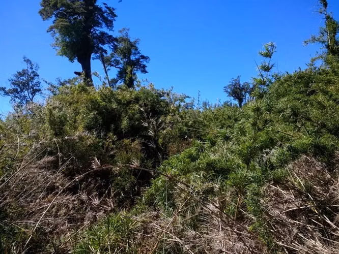 Terreno Campo en venta en Ancud - Imagen 18