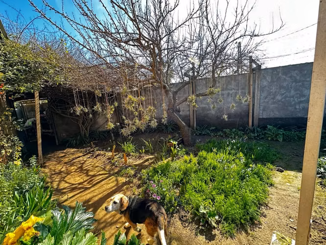Venta de Propiedad Un Piso Sector Limache - Imagen 19