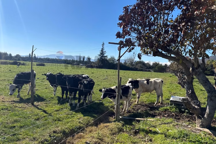 Exclusiva parcela de agrado de 3,6 ha en melipilla