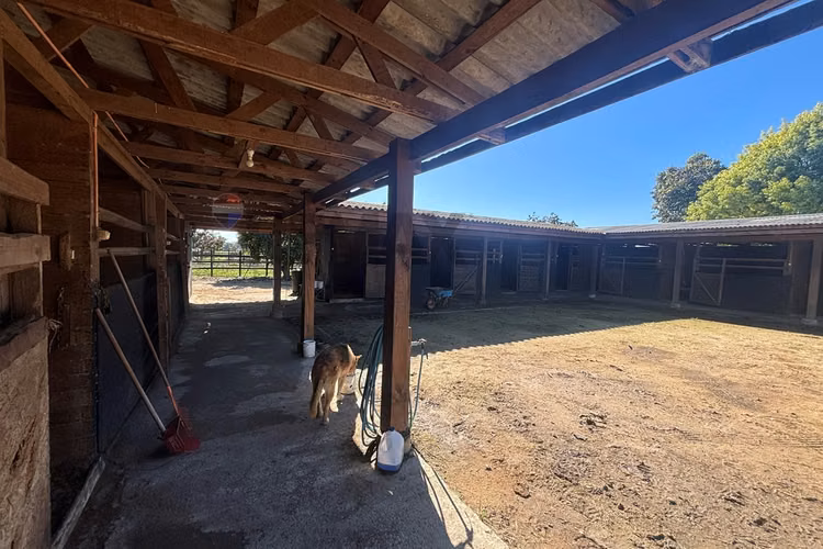 Exclusiva parcela de agrado de 3,6 ha en melipilla
