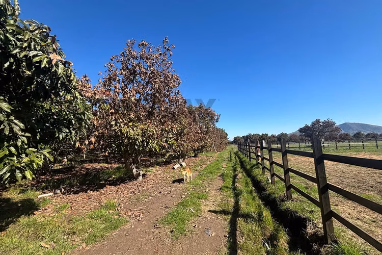 Exclusiva parcela de agrado de 3,6 ha en melipilla