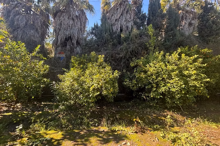 Exclusiva parcela de agrado de 3,6 ha en melipilla