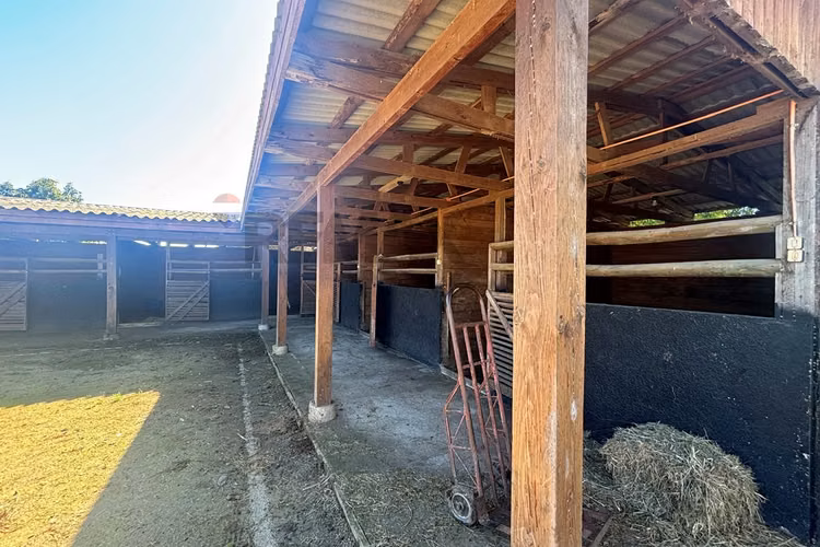 Exclusiva parcela de agrado de 3,6 ha en melipilla
