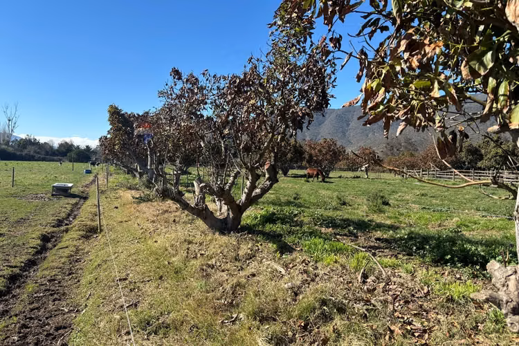 Exclusiva parcela de agrado de 3,6 ha en melipilla