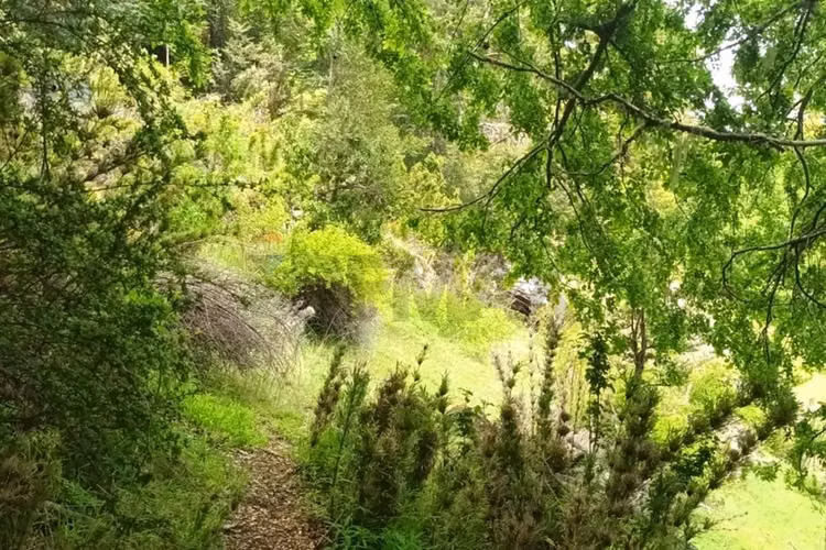 Campo en venta en curarrehue, la araucanía - Imagen 21