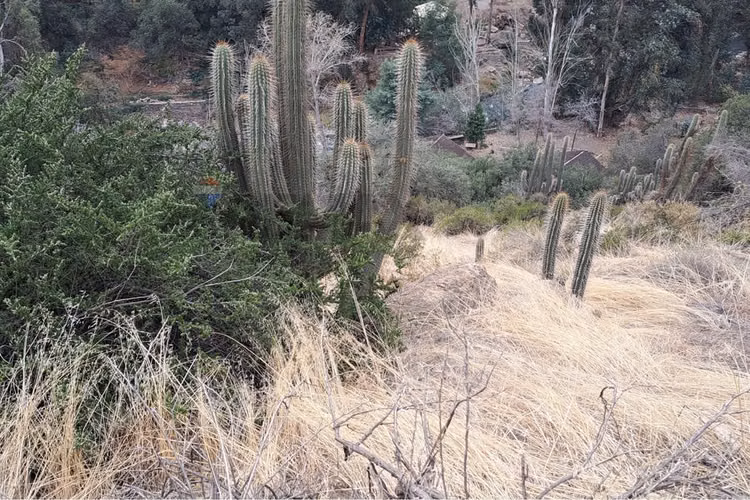 Terreno con alta plusvalía - Imagen 8