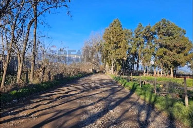 Parcela agrícola de 4,5 ha en santa victoria, buin