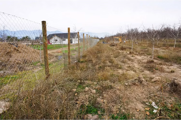 Venta parcela paine - Imagen 14