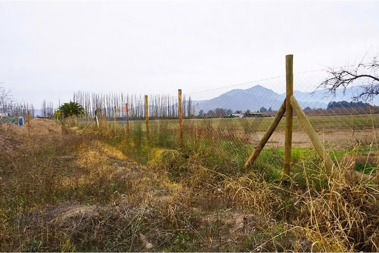 Venta parcela paine - Imagen 20
