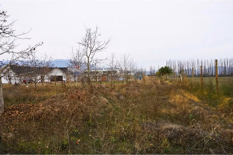 Venta parcela paine - Imagen 22