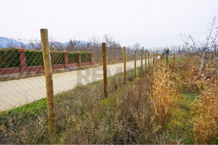Venta parcela paine - Imagen 12