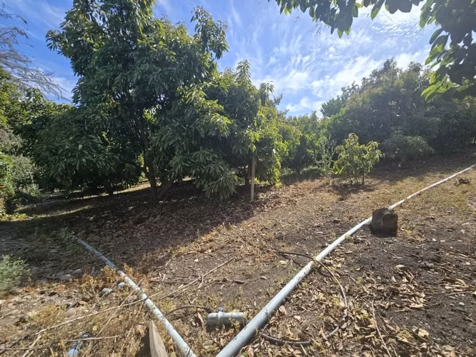 Parcela RUTA 60