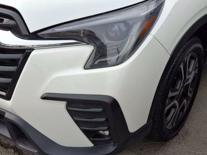 SUBARU EVOLTIS 2024