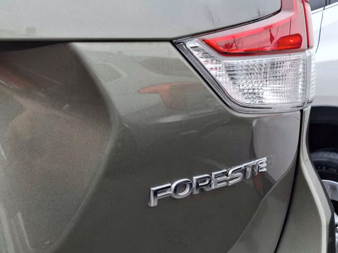 SUBARU FORESTER 2024 - Imagen 10