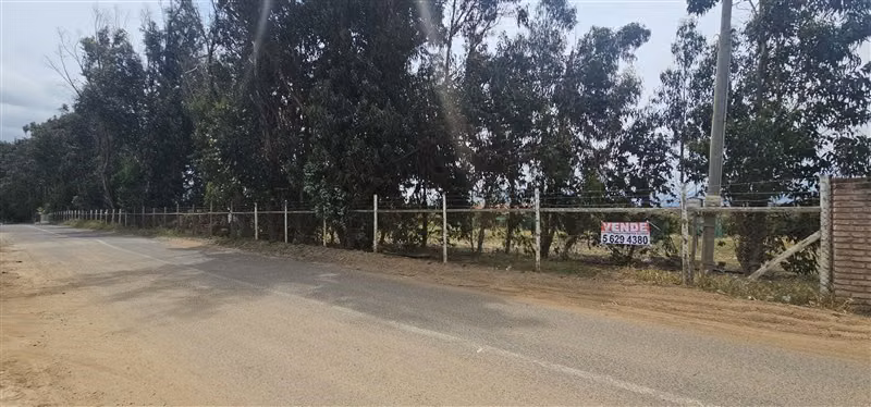 Parcelas en venta en Zapallar.