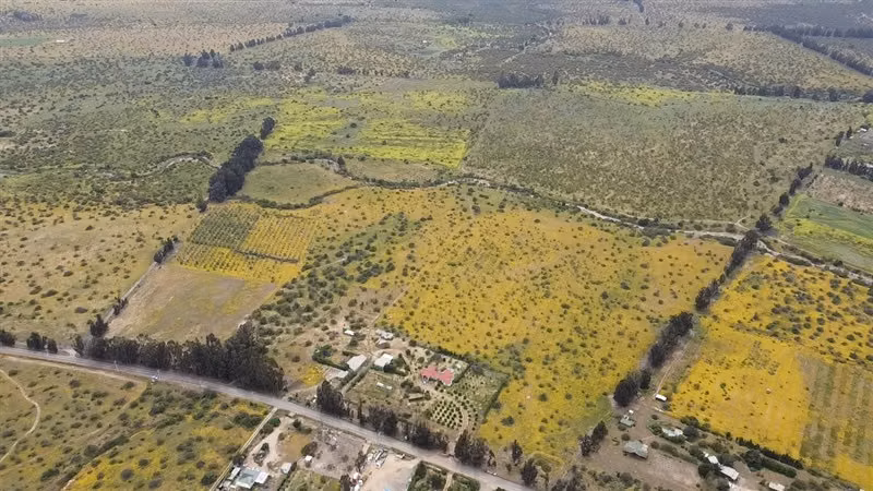 Parcelas en venta en Zapallar.