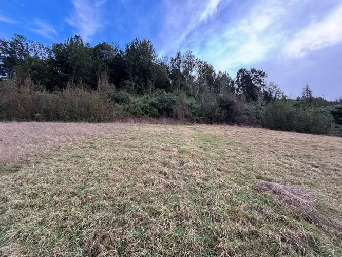 Parcela en venta en Condominio Los Copihues (178344) - Imagen 11