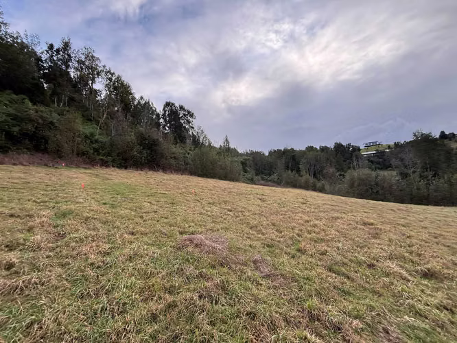 Parcela en venta en Condominio Los Copihues (178344) - Imagen 4