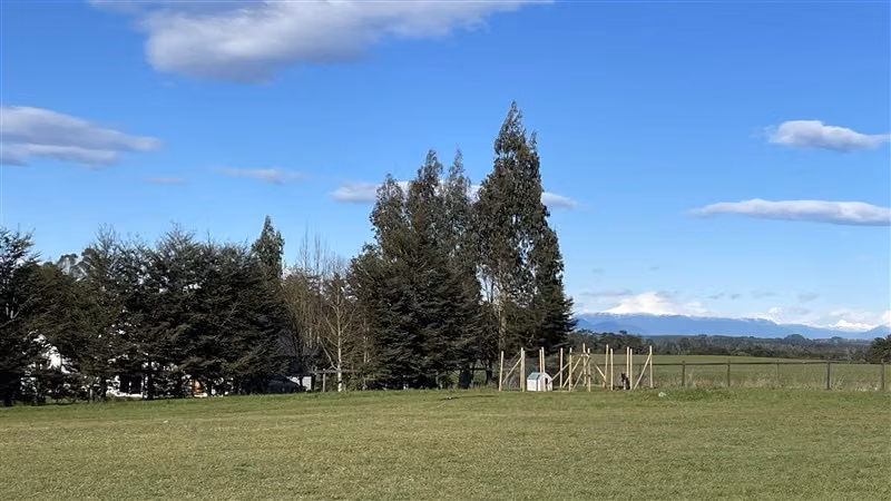 Parcela urbanizada y a 8 km de Puerto Varas - 5000 m2 - Imagen 2